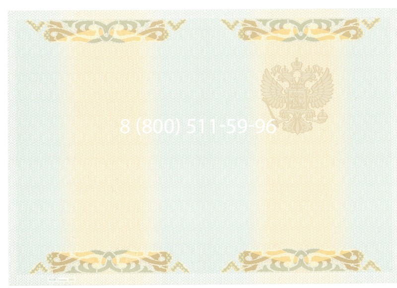 Купить Диплом бакалавра 2003-2009 годов в Перми