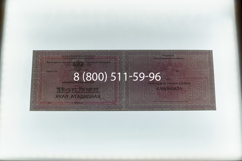 Заказать Диплом кандидата наук 2010 в Перми