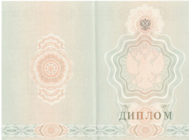 Купить Диплом о начальном образовании  2007-2009 годов в Перми