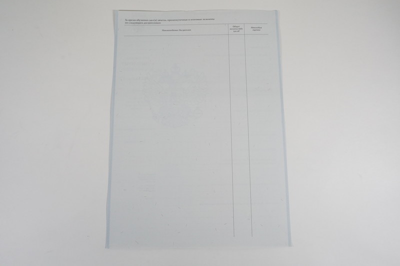 Диплом о начальном образовании  2007-2009 годов в Перми