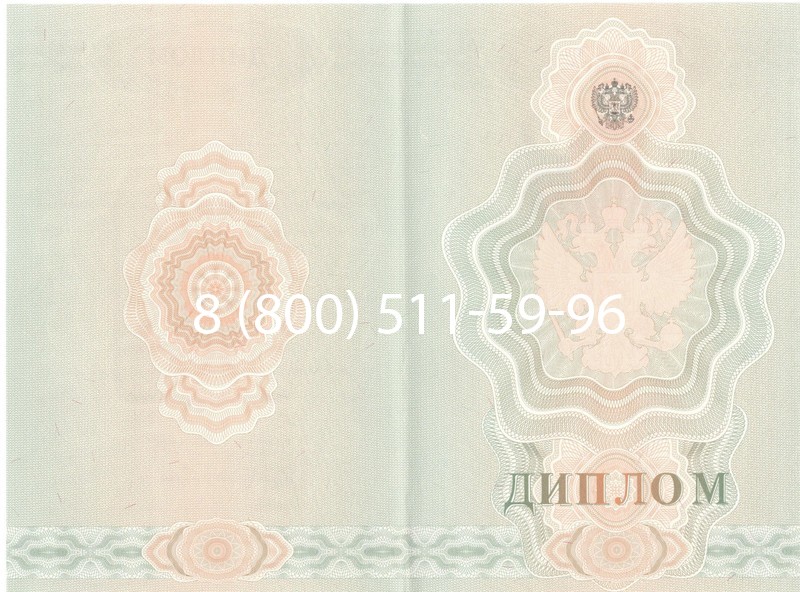 Купить Диплом училища 2007-2009 годов в Перми